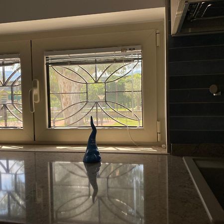 Villa Del Gaudio Rooms & Apartments كاستيلاّماري دي ستا المظهر الخارجي الصورة